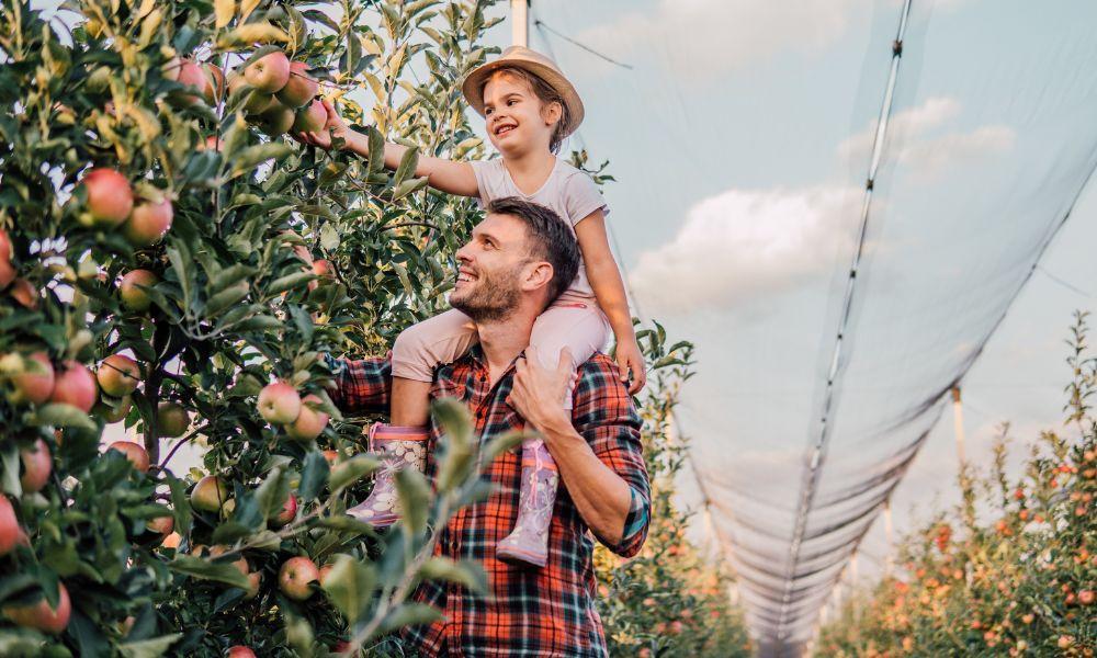Autumn Apple Adventures: Health Benefits and Pick-Your-Own Fun Near Eastern Los Angeles County